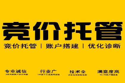 SEM竞价代运营公司成功案例：如何提升广告转化率